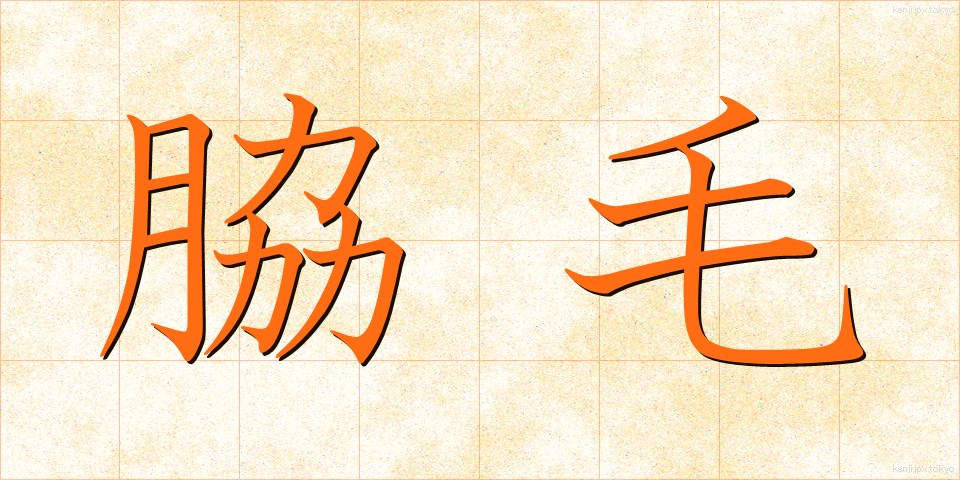 脇毛 (わきげ)