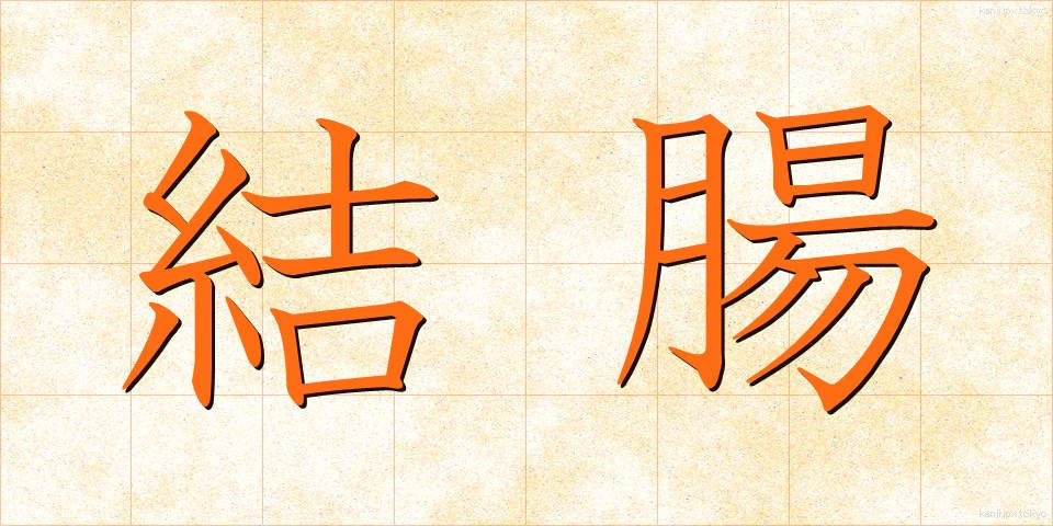 結腸 (けっちょう)