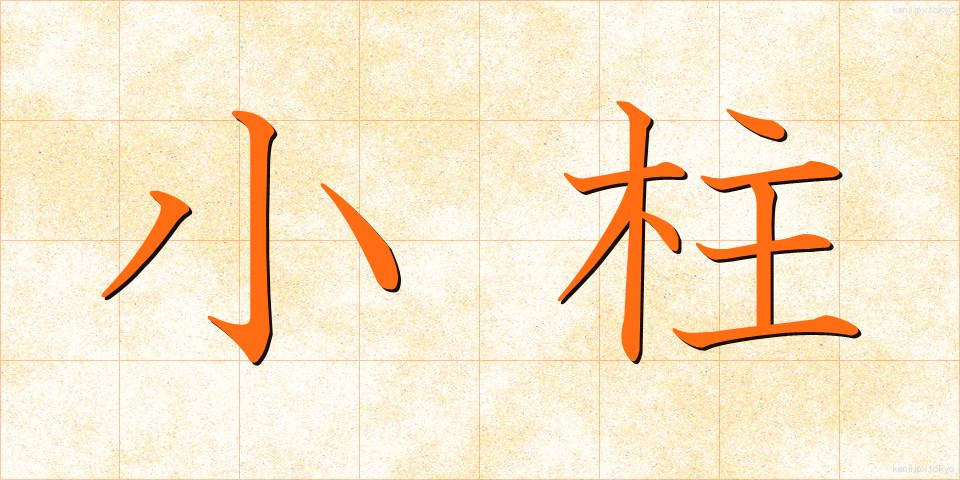 小柱 (しょうちゅう)