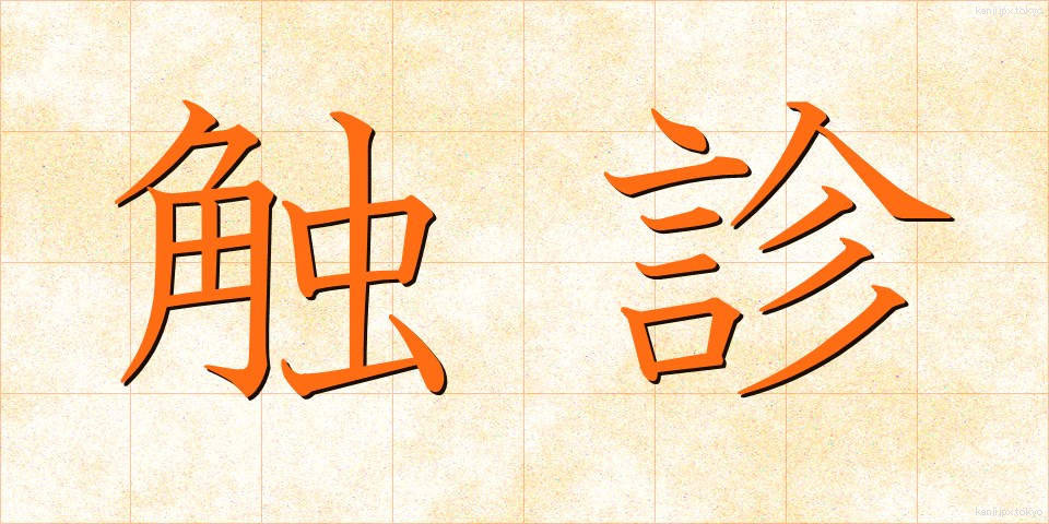 触診 (しょくしん)