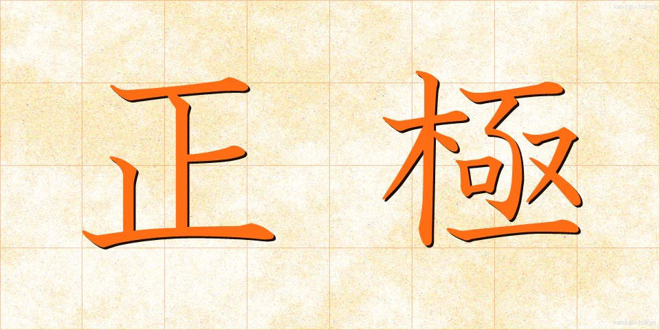 正極 (せいきょく)