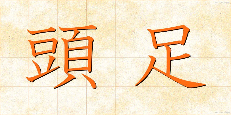 頭足 (とうそく)