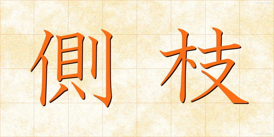側枝 (そくし)