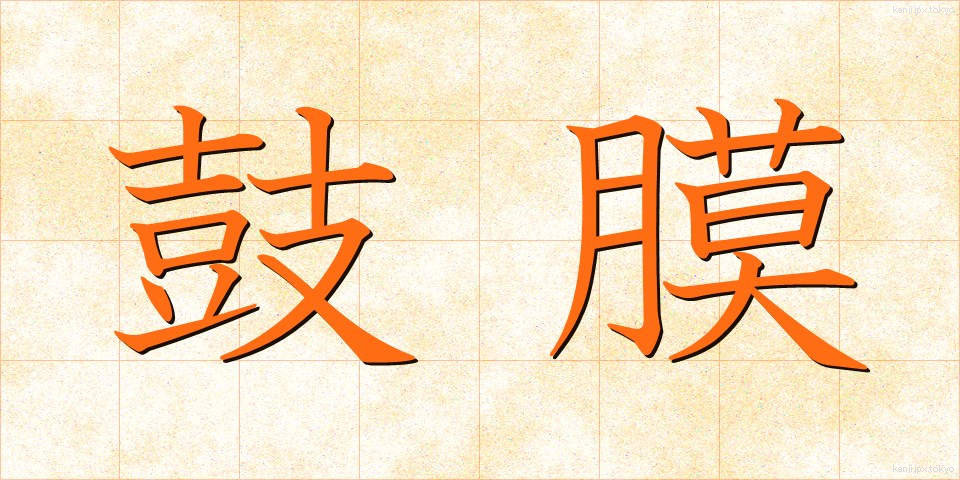鼓膜 (こまく)