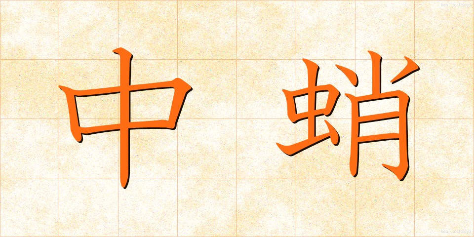 中蛸 (ちゅうだこ)