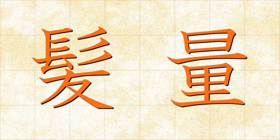 髪量 (かみりょう)
