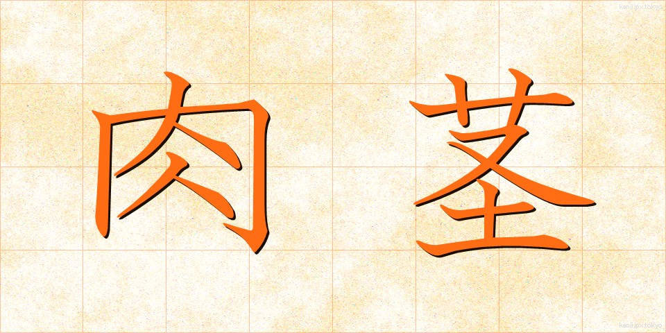 肉茎 (にくけい)