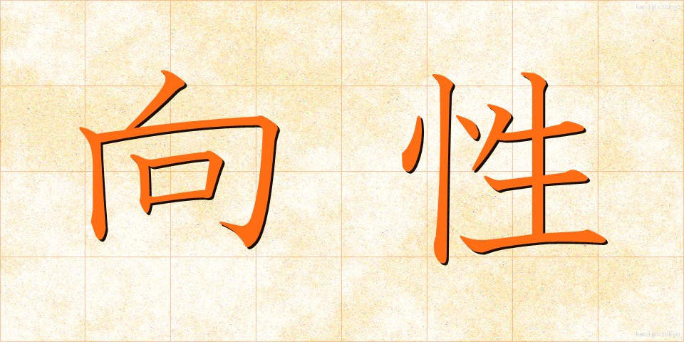向性 (こうせい)