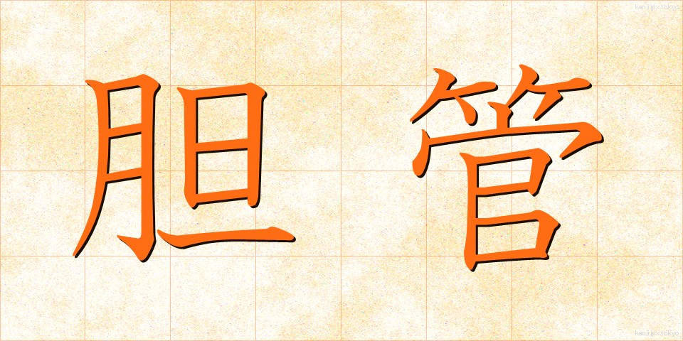 胆管 (たんかん)