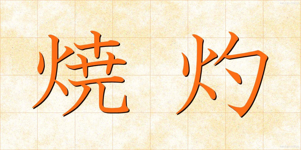 焼灼 (しょうしゃく)