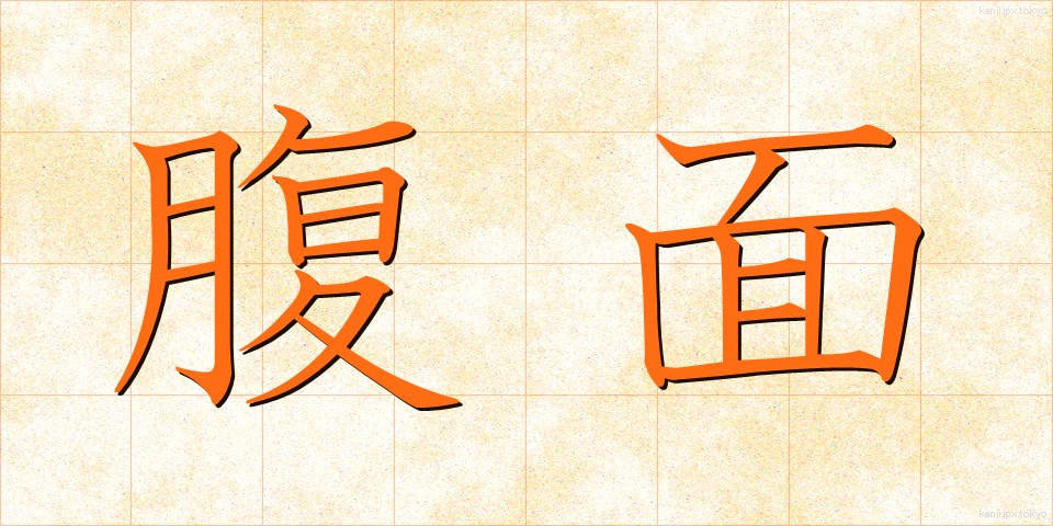 腹面 (ふくめん)