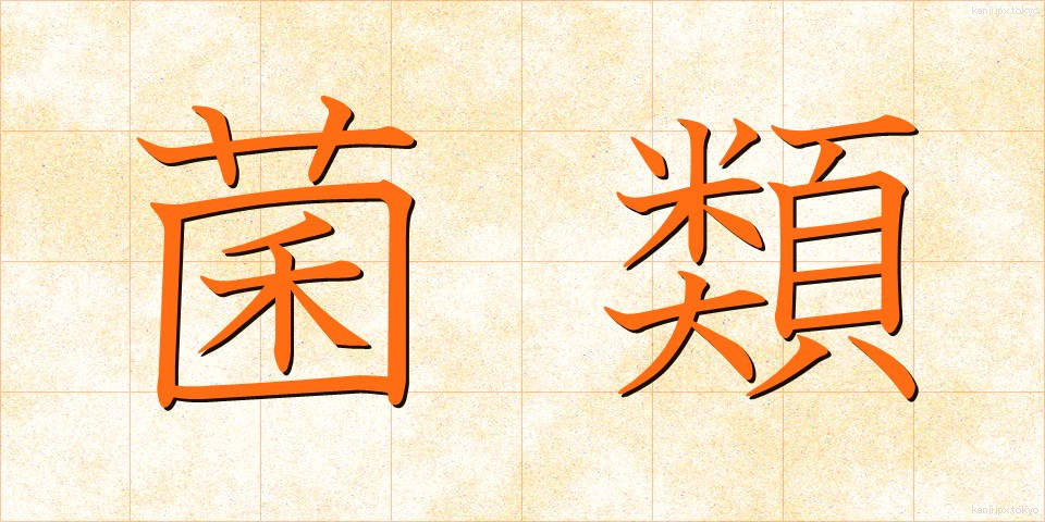 菌類 (きんるい)