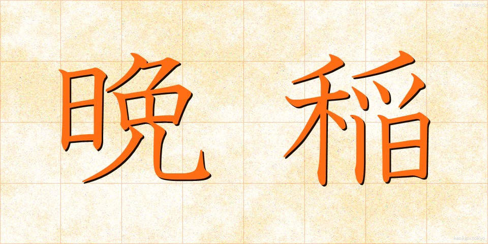 晩稲 (ばんとう)