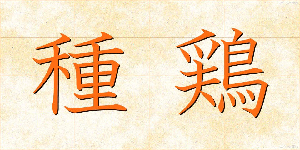 種鶏 (たねにわとり)