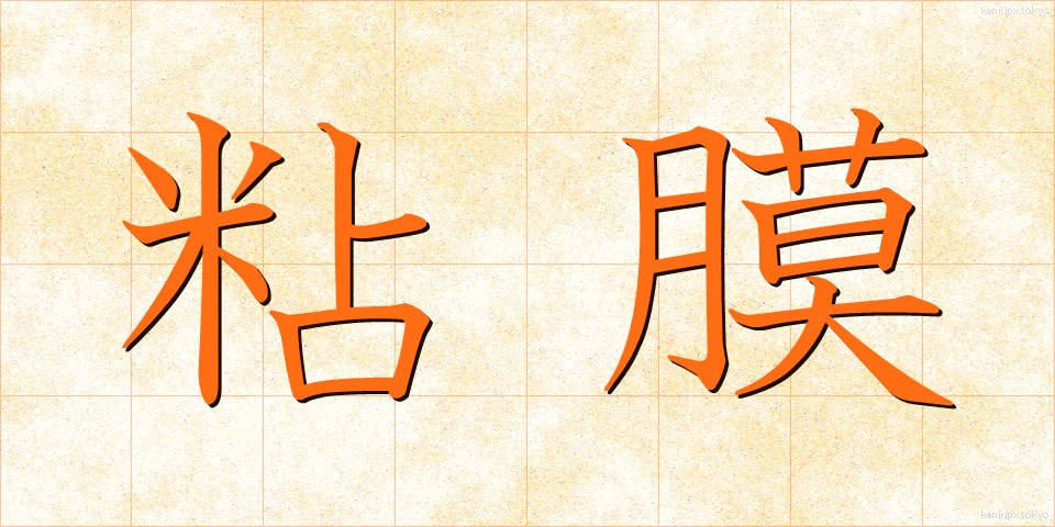 粘膜 (ねんまく)
