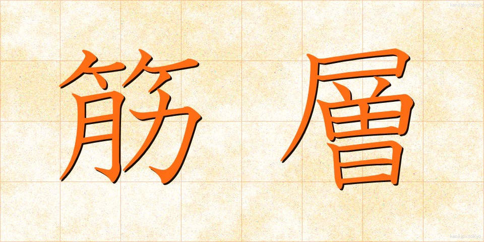 筋層 (きんそう)