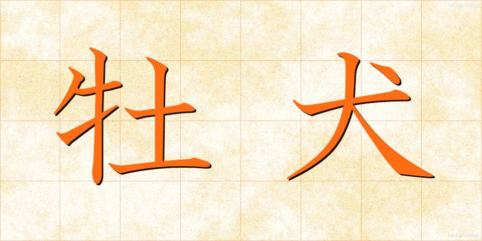 牡犬 (おすいぬ)