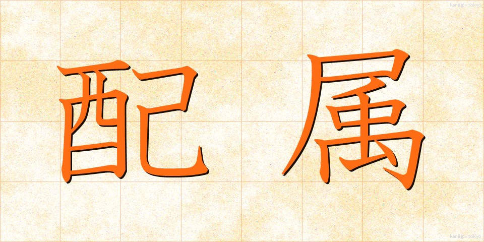 配属 (はいぞく)