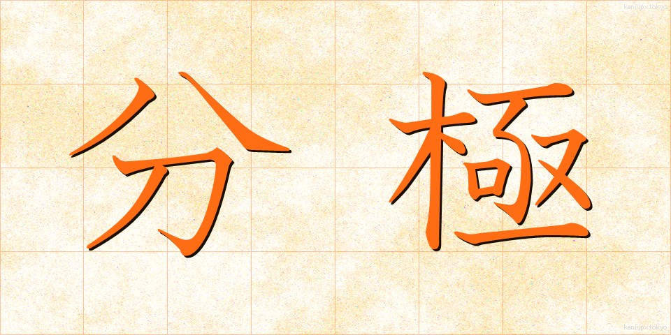 分極 (ぶんきょく)