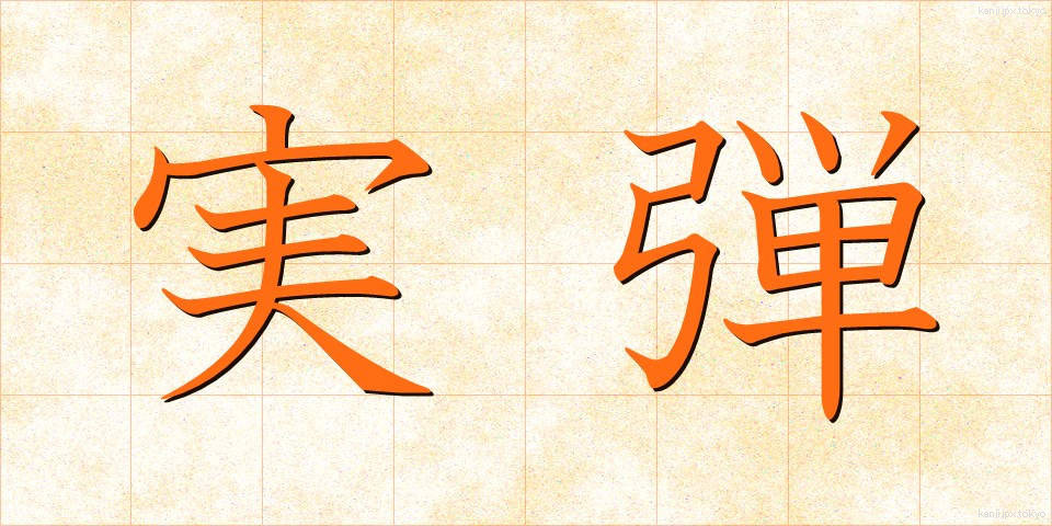 実弾 (じつだん)
