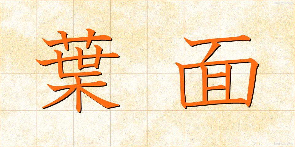 葉面 (ようめん)