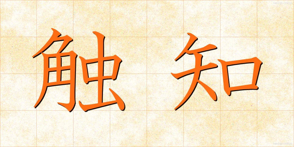 触知 (しょくち)