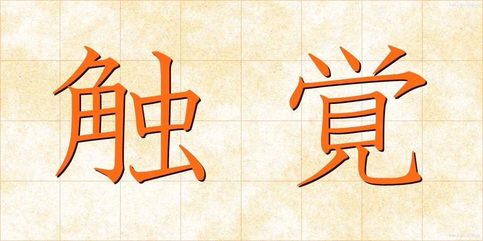触覚 (しょっかく)