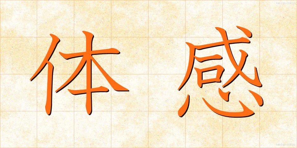 体感 (たいかん)