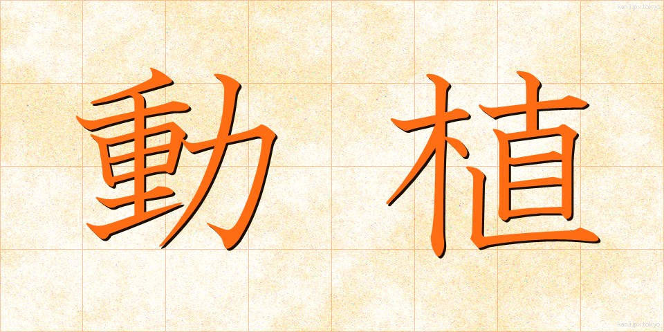 動植 (どうしょく)