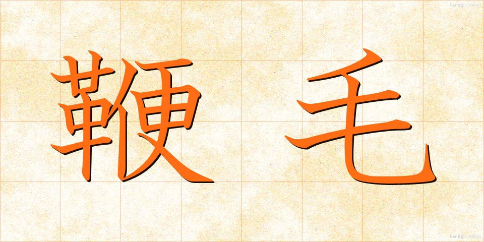 鞭毛 (べんもう)