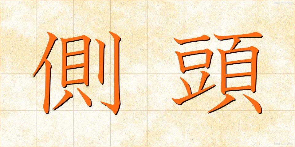 側頭 (そくとう)