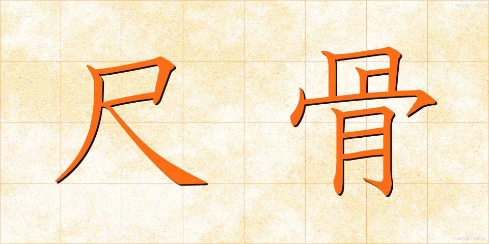 尺骨 (しゃっこつ)