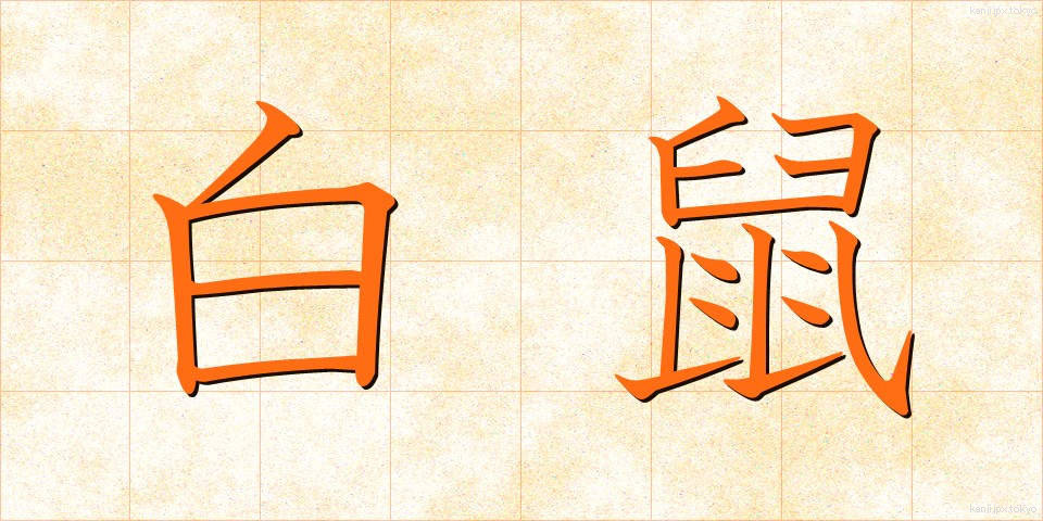 白鼠 (しろねずみ)