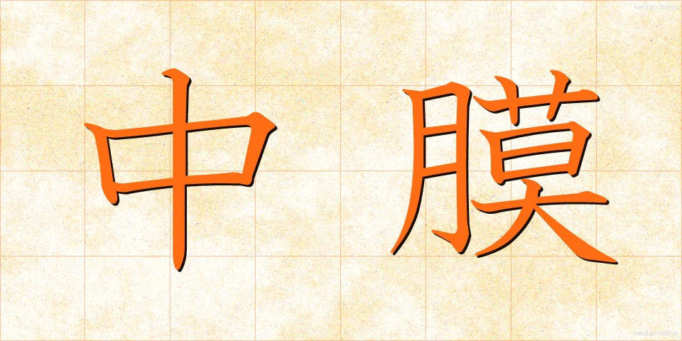中膜 (ちゅうまく)
