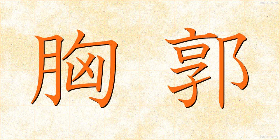 胸郭 (きょうかく)