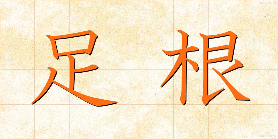 足根 (そっこん)