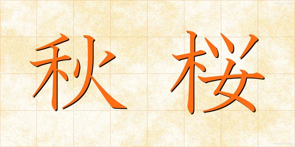 秋桜 (こすもす)