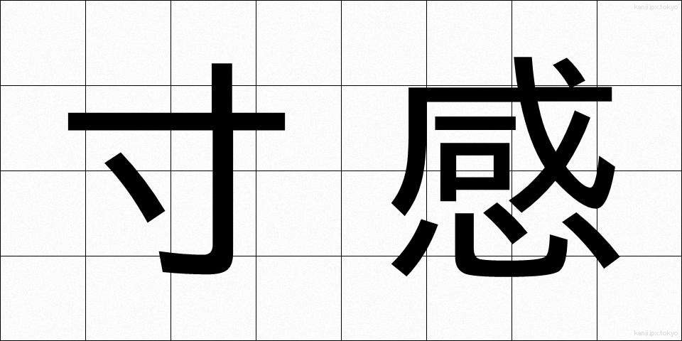 寸感 (すんかん)