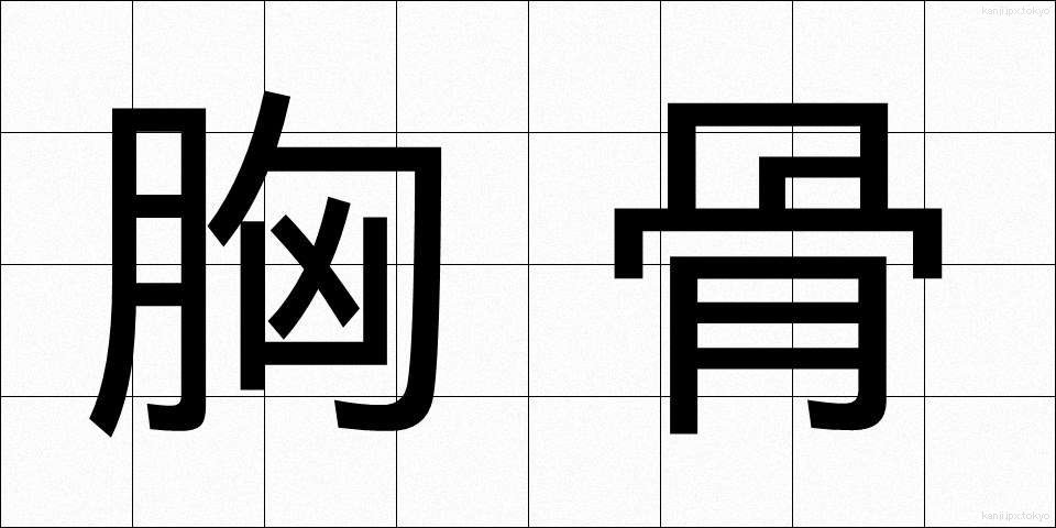 胸骨 (きょうこつ)