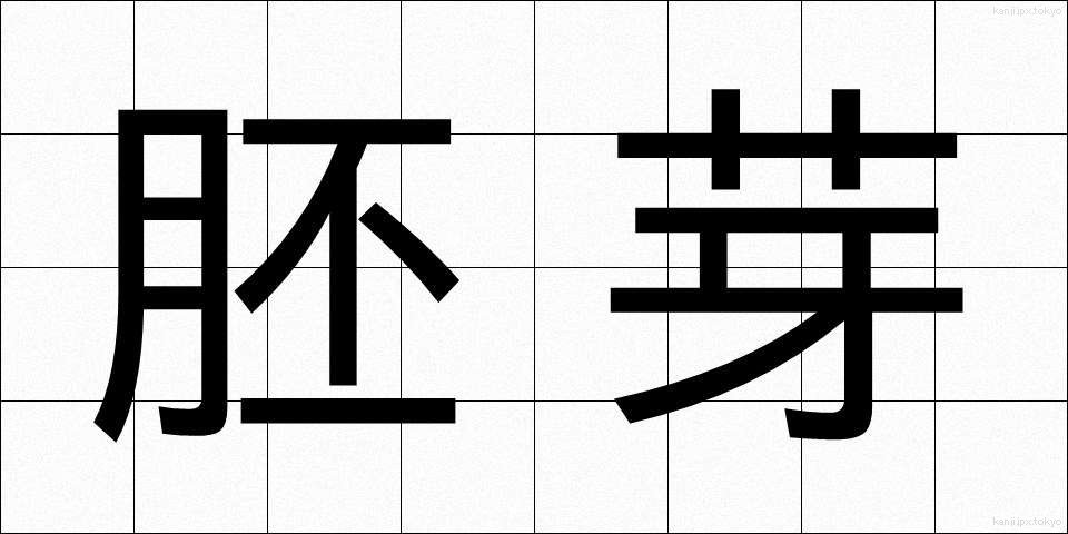 胚芽 (はいが)