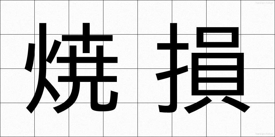 焼損 (しょうそん)