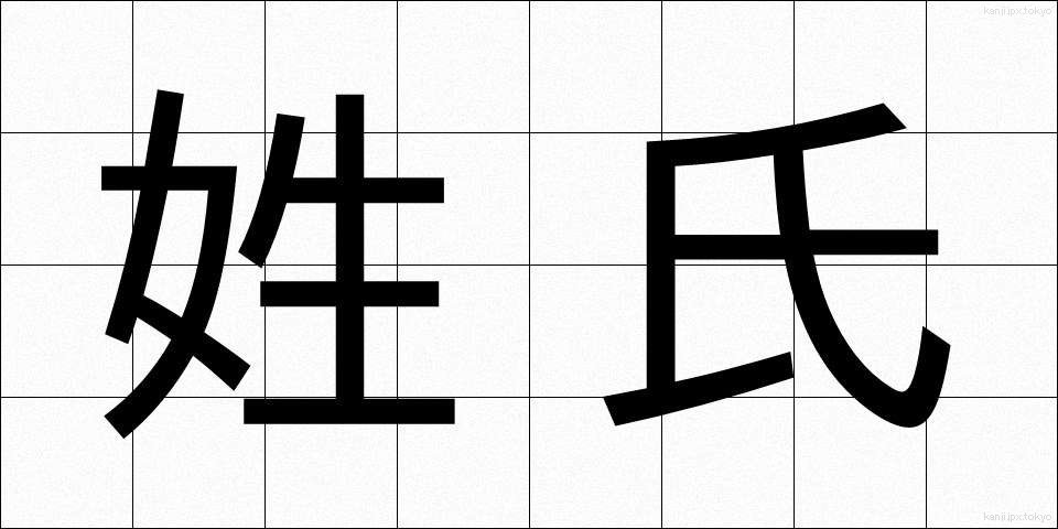 姓氏 (せいし)