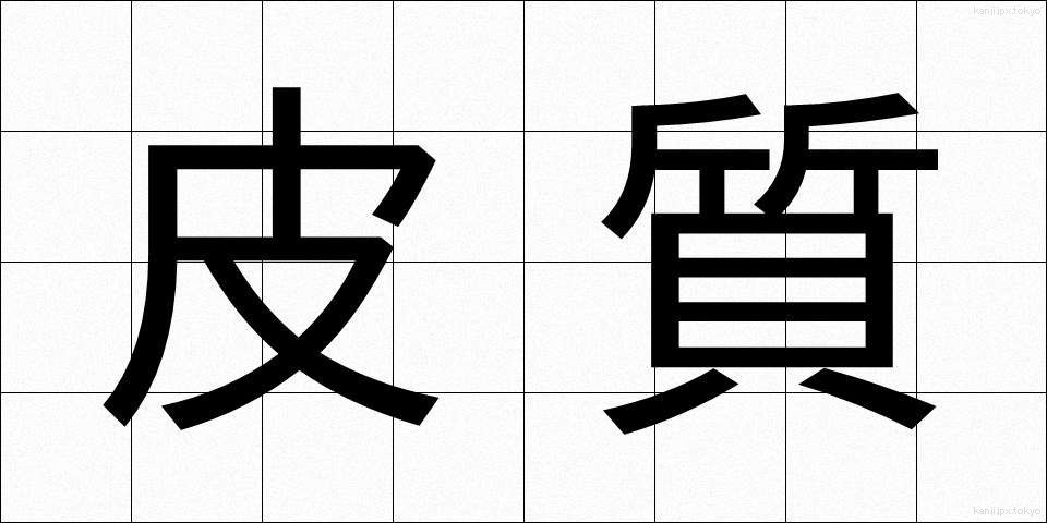皮質 (ひしつ)