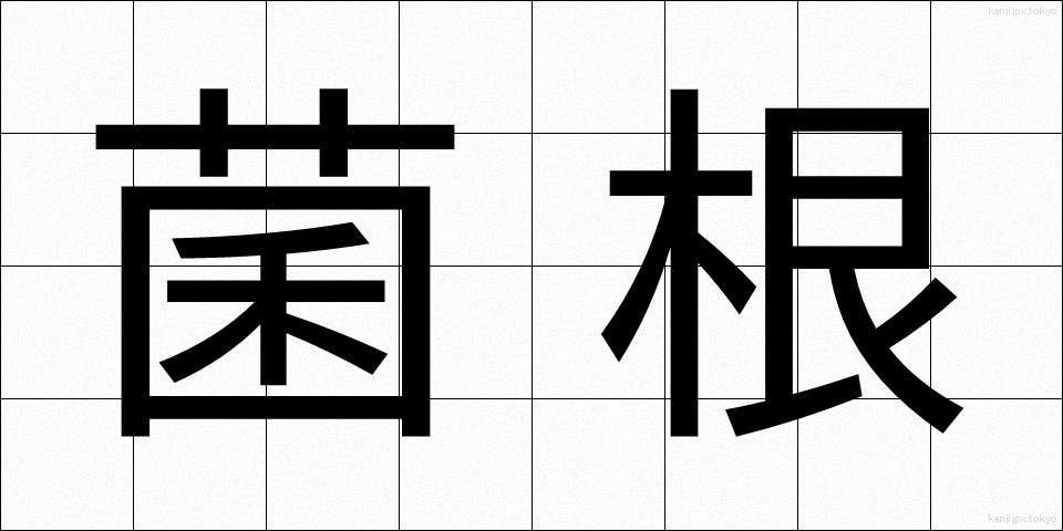 菌根 (きんこん)