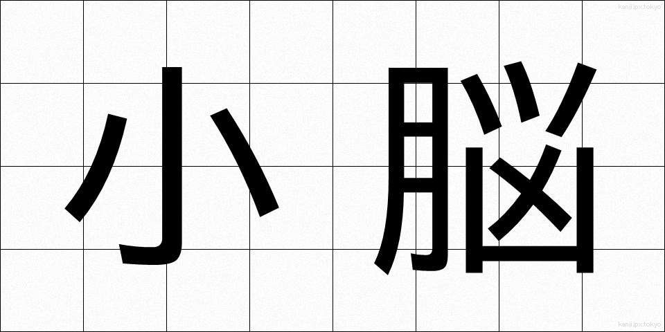 小脳 (しょうのう)