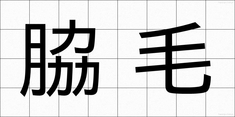 脇毛 (わきげ)