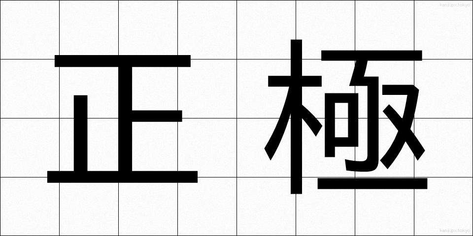 正極 (せいきょく)