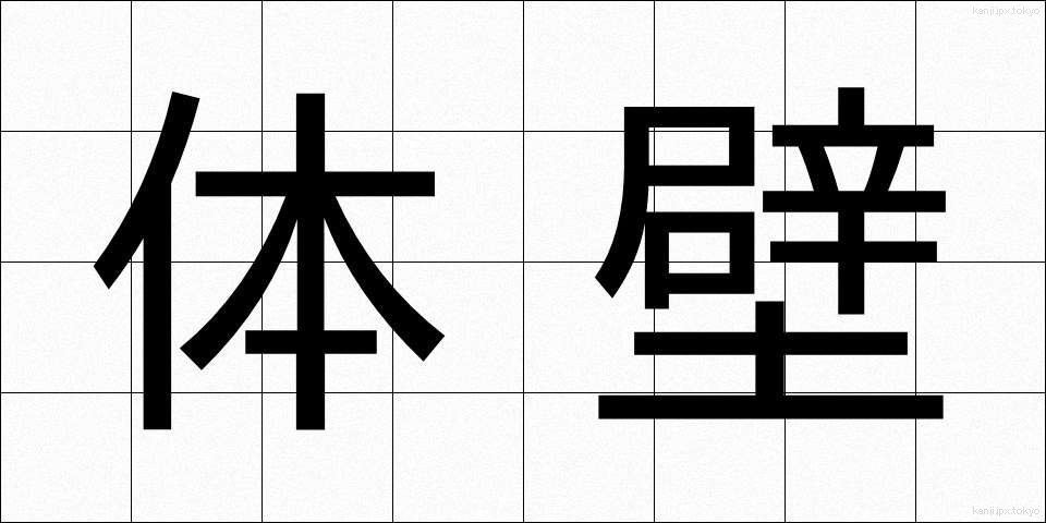 体壁 (たいへき)