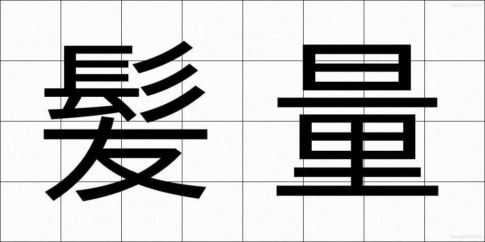 髪量 (かみりょう)