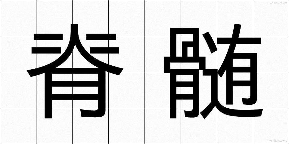 脊髄 (せきずい)